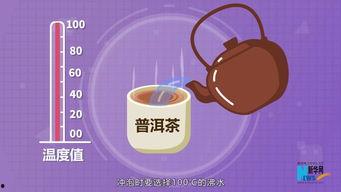 科普小视频,科技奥秘尽收眼底